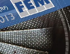 FEM Thumbnail