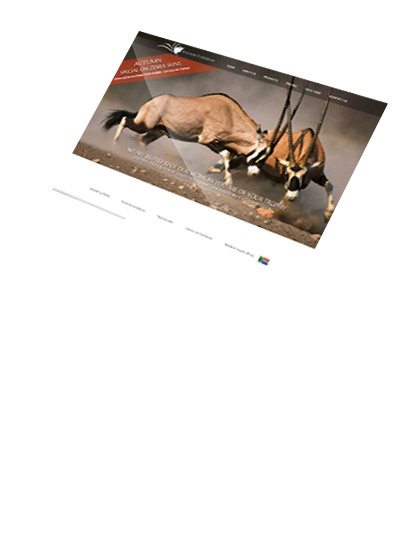 Website Design